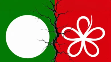 Pas-Bersatu split hands advantage to rivals, say analysts