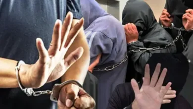 Police arrest wanted individual involved in organised crime