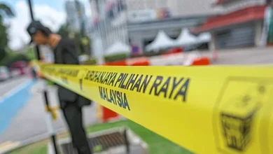 A crowded field for Johor voters