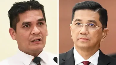 Bersatu duo relieved of roles in PN