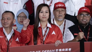 Johor polls: Pasir Gudang Amanah to boycott PH's 'parachute' Permas candidate