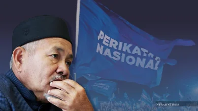 Pas eyes broader PN+ coalition with Umno among potential partners