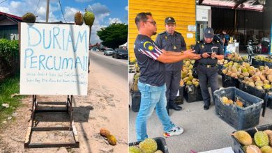 Iklan durian percuma tiada unsur penipuan - KPDN