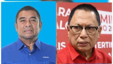 Jangan Heret Institusi Raja Kerana Kekecewaan Politik, Cerminan Sikap Kebudak-Budakan – Zawawi