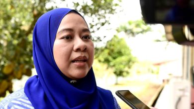Rakyat Tolak Parti Berpecah Belah, BN Diyakini – Dr Masliha