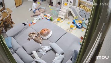 Ibu terkejut, anak kecil hayun ular