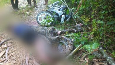 Penduduk mati dibelit ular gergasi 7 meter
