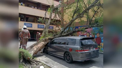 Pokok tumbang hempap 2 kereta di kawasan sekolah