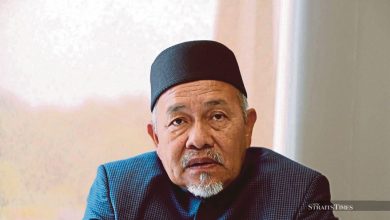 Negri Sembilan polls: PN and BN manifestos share similarities, says Tuan Ibrahim