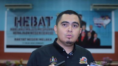 Akmal: I'll resign as exco if Nga quits Cabinet