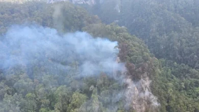 Bomba gerakkan helikopter bantu padam kebakaran hutan dekat Gua Niah