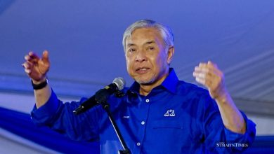 Negri Sembilan polls: BN manifesto not copied from PH, says Zahid