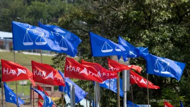 Johor polls: BN holds electoral edge in Johor, but 31 seats still up for grabs, survey shows