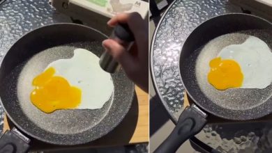 Cuaca terlampau panas, warga Poland goreng telur guna cahaya matahari