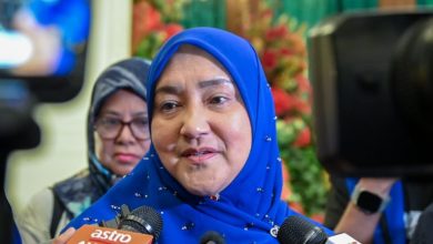 BN Terbukti Berpengalaman… Ikrar Wanita NS Mampu Dilaksanakan – Bibi Sharliza