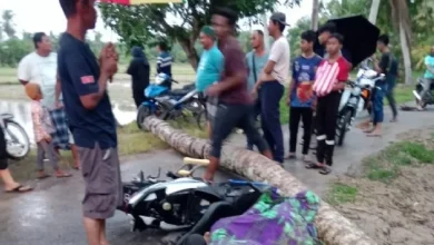 Pelajar maut, rakan parah dihempap pokok tumbang dibadai ribut 5 minit