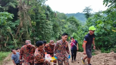 Warga emas parah dihempap pokok di Tamparuli
