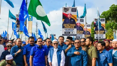 Mutual suspicion, not 'third party', the real threat to BN-PN pact, says analyst