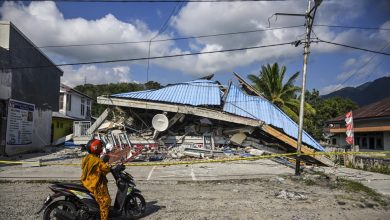 Penduduk Nusa Tenggara Timur alami hampir 1,000 gempa susulan