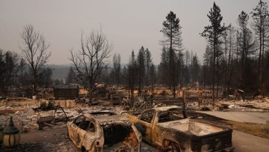 Lelaki taksub api bakar hutan, 65,000 orang kena pindah