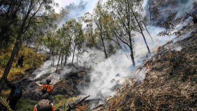 El Nino tiba di Indonesia, Taman Negara Gunung Bromo terbakar