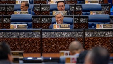 RCI TH: Ahmad Zahid Seru Cari Kebenaran, Henti Polemik