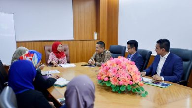 KPK-UMK Pacu Pengkomersialan Produk Kenaf, Perkukuh Ekosistem Industri