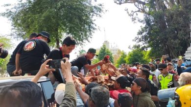 Berang harga makanan mahal, penternak beri percuma ayam, telur