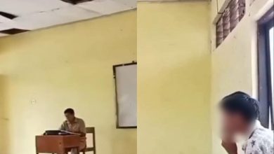 Buaya mengeram 40 biji telur ditangkap penduduk