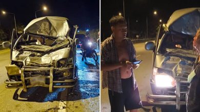 Wanita kemalangan, tidak perasan gajah melintas