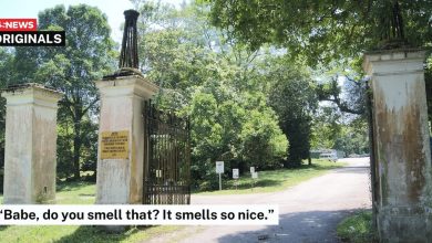 Teman lelaki diam kekasih bertanya bau wangi di perkuburan
