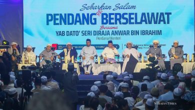 Anwar denies trying to interfere in Negri Sembilan royal crisis