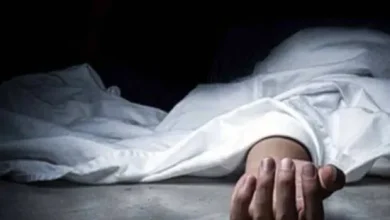 Woman, 81, dies in George Town hit-and-run