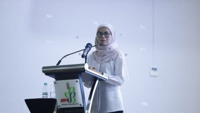 Sarawak Penentu Masa Depan Industri Lada Malaysia