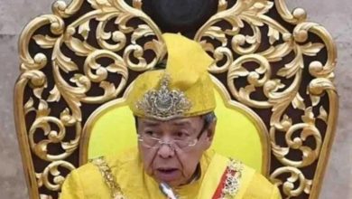 Selangor declares Oct 25 holiday for Sultan's silver jubilee