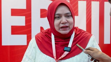 Jasa Dan Rekod Najib Razak Perlu Dihargai – Rosnah