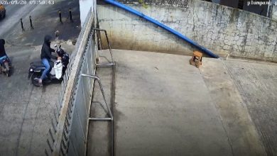Motosikal ‘rider’ dicuri ketika hantar barang