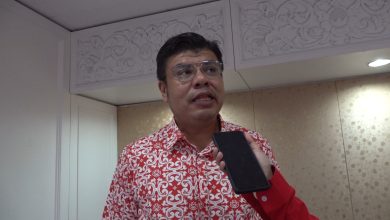 Jangan Laungkan ‘Daulat Tuanku’ Hanya Ketika Keputusan Menyebelahi Parti Sendiri – Syed Mohd Johan