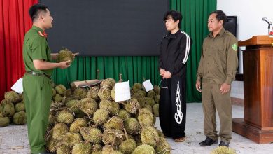 Kehabisan wang, penganggur nekad curi 1.6 tan durian