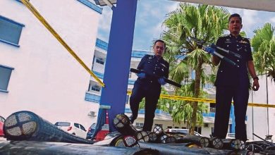 Cable thieves emerge from the shadows