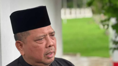 Perlis MB suspended from Bersatu