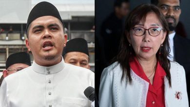 Akmal Saleh to appeal against Teresa Kok’s defamation suit ruling