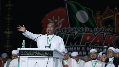 PN ready to use Pas logo if barred from using own in Melaka polls