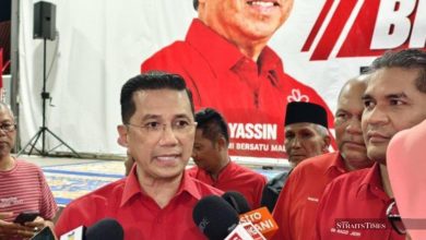 Melaka election: Bersatu to use own logo