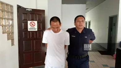 Miliki 522.82 gram kanabis: Bekas kelindan lori dipenjara 7 tahun, 10 sebatan