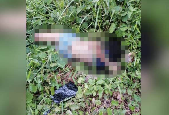 Mayat remaja perempuan mangsa bunuh ditemui dalam kebun getah