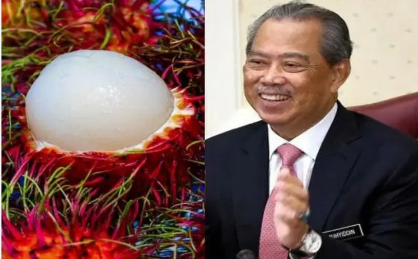 Rambutan atasi Muhyiddin di undian twitter