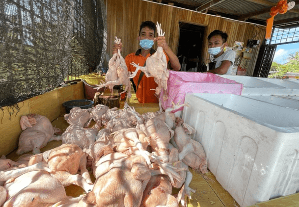 Total Lockdown: Ayam Pula Tak Laku