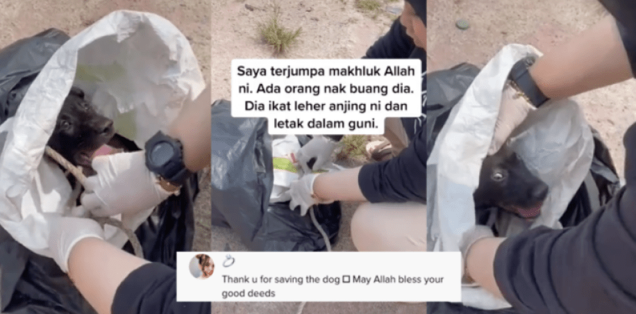 Gadis Melayu Berhati Mulia Selamatkan Anjing Yang Terperangkap Dalam Guni. [VIDEO]