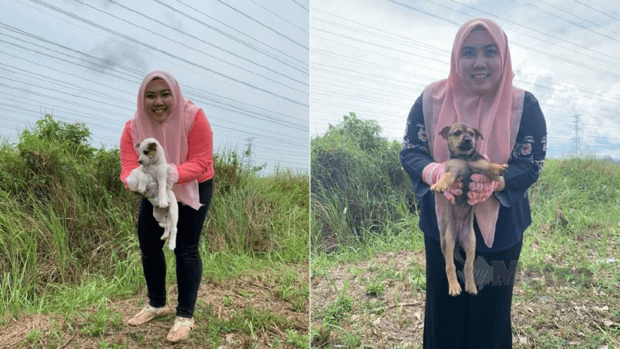 Gadis Melayu Berhati Mulia Selamatkan Anjing Yang Terperangkap Dalam Guni. [VIDEO]